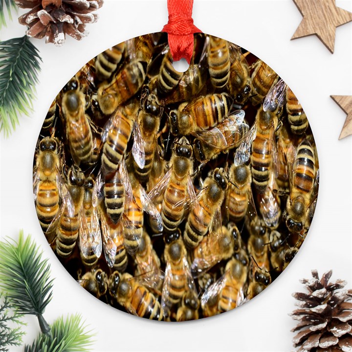 Honey Bee Water Buckfast Round Ornament (Two Sides)