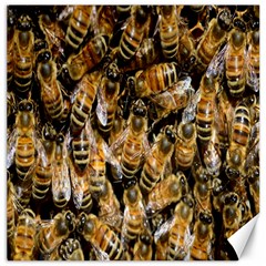 Honey Bee Water Buckfast Canvas 12  X 12   by Nexatart