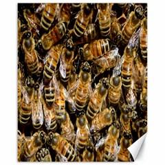 Honey Bee Water Buckfast Canvas 16  X 20   by Nexatart