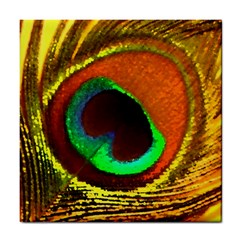 Peacock Feather Eye Tile Coasters by Nexatart