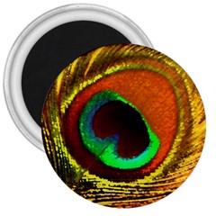 Peacock Feather Eye 3  Magnets