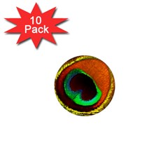 Peacock Feather Eye 1  Mini Magnet (10 pack) 