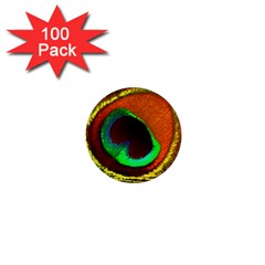 Peacock Feather Eye 1  Mini Buttons (100 pack) 