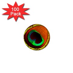 Peacock Feather Eye 1  Mini Magnets (100 pack) 