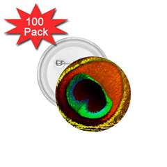 Peacock Feather Eye 1.75  Buttons (100 pack) 