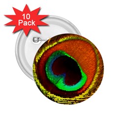 Peacock Feather Eye 2.25  Buttons (10 pack) 