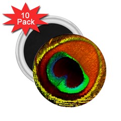 Peacock Feather Eye 2.25  Magnets (10 pack) 