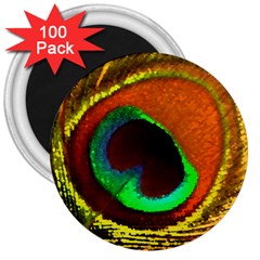 Peacock Feather Eye 3  Magnets (100 Pack)