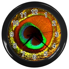 Peacock Feather Eye Wall Clocks (Black)