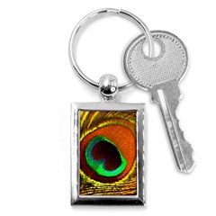 Peacock Feather Eye Key Chains (Rectangle) 