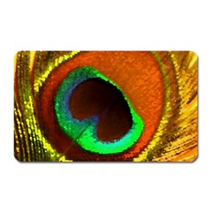 Peacock Feather Eye Magnet (Rectangular)