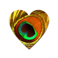 Peacock Feather Eye Heart Magnet