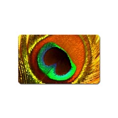 Peacock Feather Eye Magnet (name Card) by Nexatart