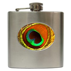 Peacock Feather Eye Hip Flask (6 Oz) by Nexatart