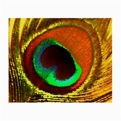 Peacock Feather Eye Small Glasses Cloth by Nexatart