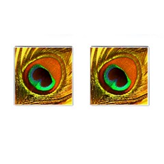 Peacock Feather Eye Cufflinks (square) by Nexatart