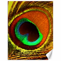 Peacock Feather Eye Canvas 12  X 16   by Nexatart