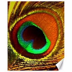 Peacock Feather Eye Canvas 16  x 20  