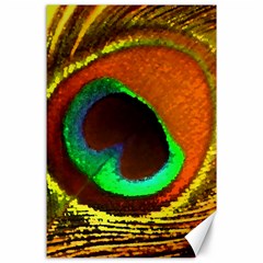 Peacock Feather Eye Canvas 24  x 36 