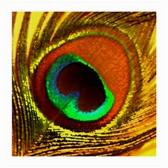 Peacock Feather Eye Medium Glasses Cloth (2-side) by Nexatart