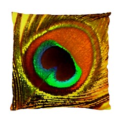 Peacock Feather Eye Standard Cushion Case (one Side) by Nexatart