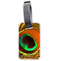 Peacock Feather Eye Luggage Tags (two Sides) by Nexatart