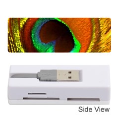 Peacock Feather Eye Memory Card Reader (Stick) 