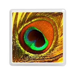 Peacock Feather Eye Memory Card Reader (Square) 