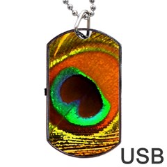 Peacock Feather Eye Dog Tag Usb Flash (one Side) by Nexatart