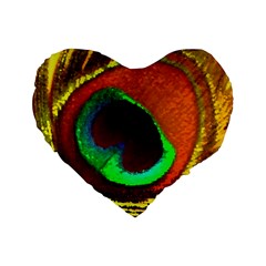 Peacock Feather Eye Standard 16  Premium Heart Shape Cushions