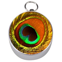 Peacock Feather Eye Silver Compasses by Nexatart