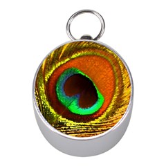 Peacock Feather Eye Mini Silver Compasses by Nexatart