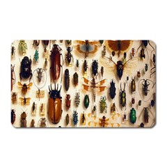 Insect Collection Magnet (rectangular) by Nexatart