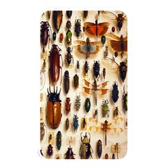 Insect Collection Memory Card Reader by Nexatart