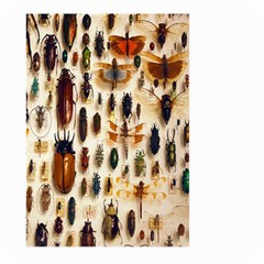 Insect Collection Large Garden Flag (two Sides) by Nexatart