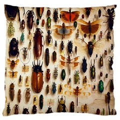 Insect Collection Large Cushion Case (two Sides) by Nexatart