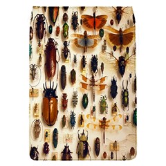 Insect Collection Flap Covers (s)  by Nexatart