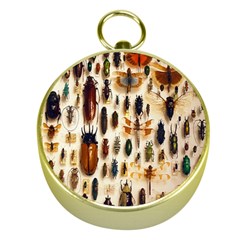 Insect Collection Gold Compasses