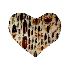 Insect Collection Standard 16  Premium Flano Heart Shape Cushions by Nexatart