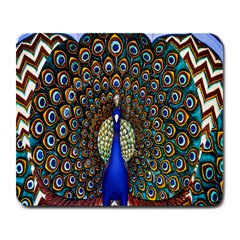 The Peacock Pattern Large Mousepads