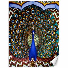 The Peacock Pattern Canvas 12  X 16   by Nexatart