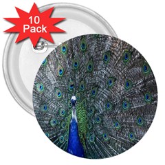 Peacock Four Spot Feather Bird 3  Buttons (10 Pack)  by Nexatart