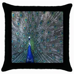 Peacock Four Spot Feather Bird Throw Pillow Case (black) by Nexatart