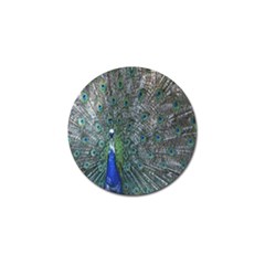 Peacock Four Spot Feather Bird Golf Ball Marker by Nexatart