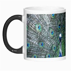 Peacock Four Spot Feather Bird Morph Mugs by Nexatart