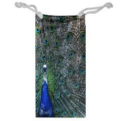 Peacock Four Spot Feather Bird Jewelry Bag by Nexatart