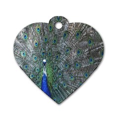 Peacock Four Spot Feather Bird Dog Tag Heart (one Side) by Nexatart