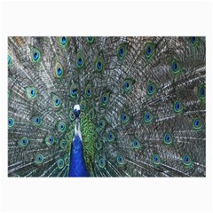 Peacock Four Spot Feather Bird Large Glasses Cloth (2-side)