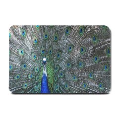 Peacock Four Spot Feather Bird Small Doormat  by Nexatart