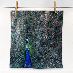 Peacock Four Spot Feather Bird Face Towel by Nexatart